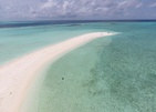 Plumeria Maldives