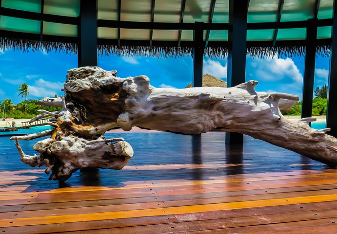 Noku Maldives, Vignette Collection By Ihg