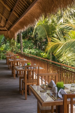 Komaneka At Rasa Sayang Ubud