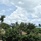 Panwaburi Beachfront Resort