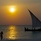 Samaki Lodge 