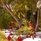 La Digue Island Lodge