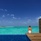 Cocoon Maldives