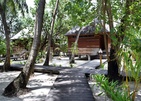 Gangehi Island Resort
