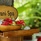 Avani Seychelles Barbarons Resort & Spa