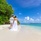 Plumeria Maldives