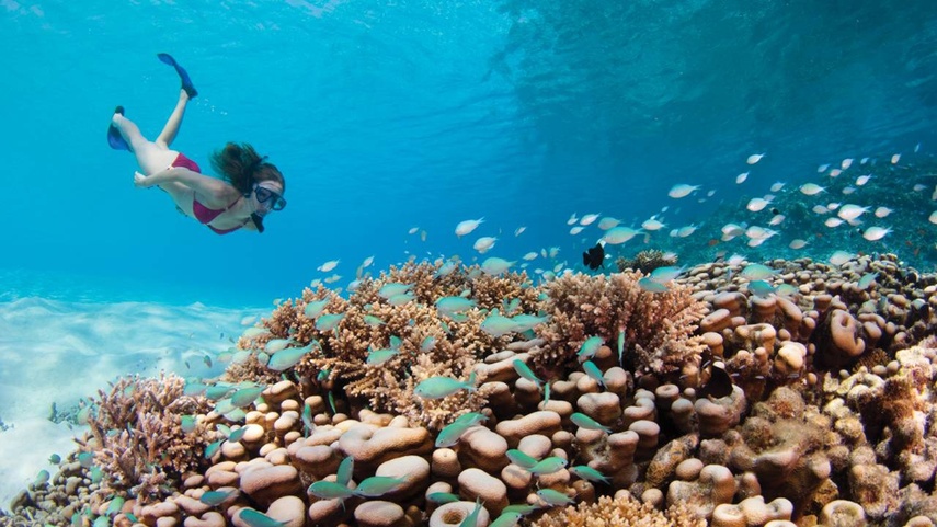 Four Seasons Resort Maldives At Kuda Huraa Сноркелинг В Отеле