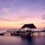 Le Meridien Maldives Resort & Spa