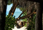 Four Seasons Resort Maldives At Landaa Giraavaru