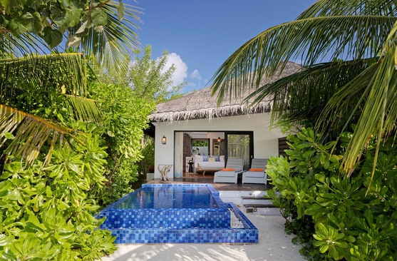 Grand Park Kodhipparu Maldives Бассейн На Вилле