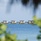 Jw Marriott Maldives Resort & Spa