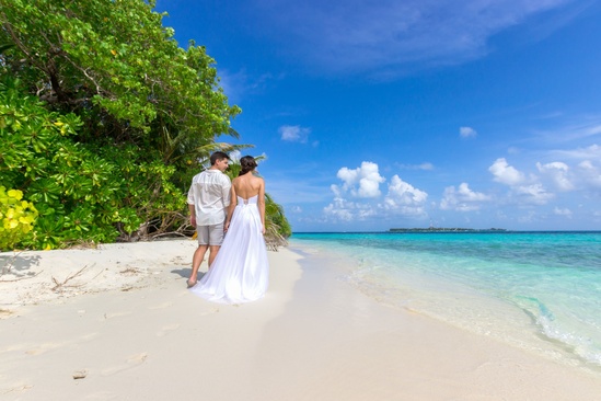 Plumeria Maldives