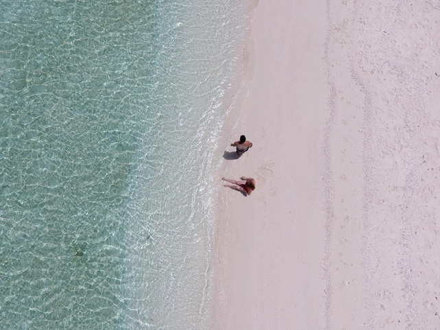 Plumeria Maldives