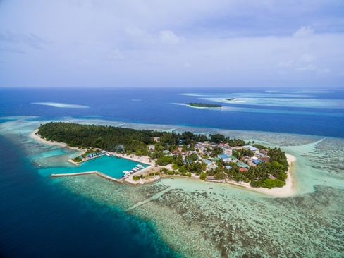 Plumeria Maldives