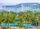 The Pacific Sutera