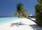 Vilamendhoo Island Resort