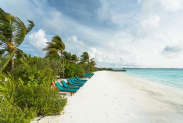 Canareef Resort Maldives