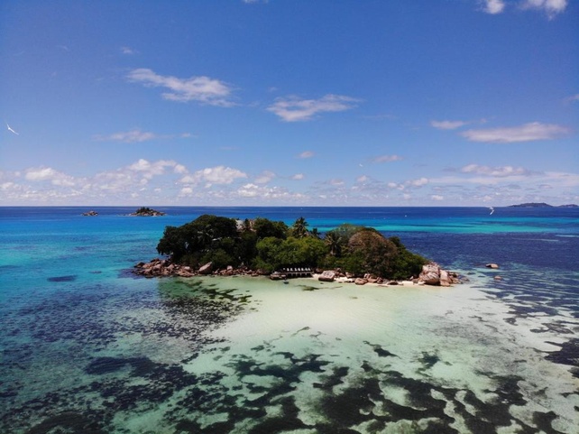 Chauve Souris Relais