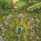 Beachcomber Dinarobin Hotel Golf & Spa