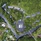 Mulu Marriott Resort & Spa