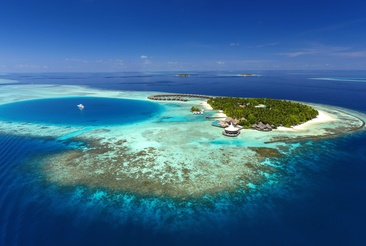 Baros Maldives Домашний Риф В Отеле