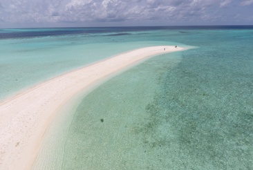 Plumeria Maldives