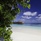 Mirihi Island Resort
