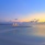 Ozen Reserve Bolifushi