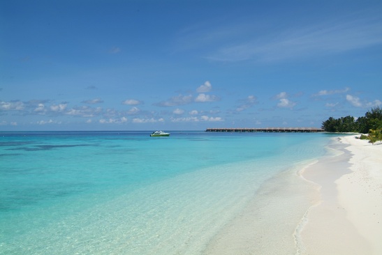 Coco Bodu Hithi