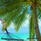 Velidhu Island Resort