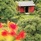 Lakaz Chamarel Exclusive Lodge