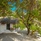 Rihiveli Maldives Resort