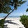 Palm Royal Luxury Villas