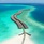 Grand Park Kodhipparu Maldives Гирлянда Вилл На Мальдивах