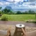 Chalets Chamarel