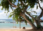 The Westin Turtle Bay Resort & Spa, Mauritius