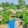 Princess Kamala Beachfront Hotel 