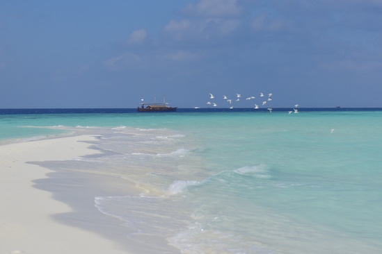 Safari Island Resort & Spa