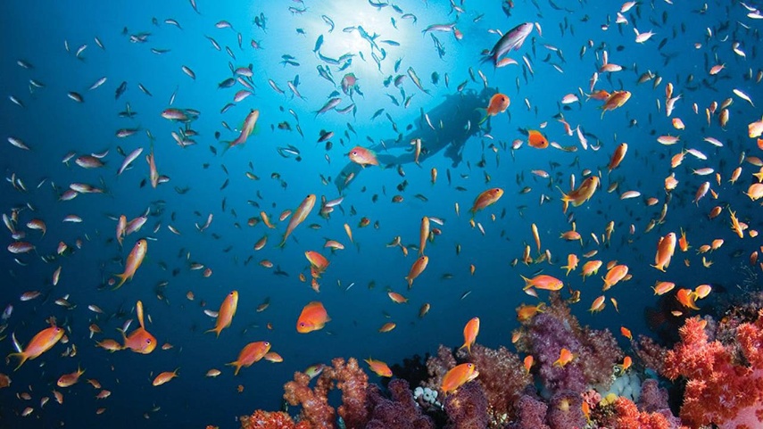 Four Seasons Resort Maldives At Kuda Huraa