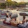 Four Seasons Resort Mauritius At Anahita