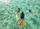 Como Maalifushi сноркелинг Como Maalifushi Сноркелинг