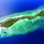 Oblu Nature Helengeli By Sentido