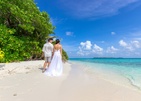 Plumeria Maldives