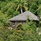 Cerf Island Resort