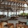 You & Me By Cocoon Maldives