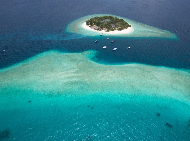 Malahini Kuda Bandos