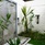 Lakaz Chamarel Exclusive Lodge