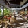 Laila Resort, Seychelles