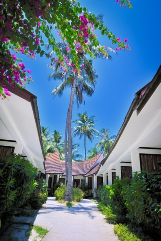 Bandos Maldives Территория Отеля