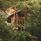 Japamala Resort By Samadhi Retreats